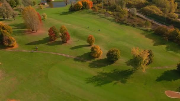 Golfspelare Går Vackert Manikyrerat Gräs Golfbana Hösten Panorering Antenn Skott — Stockvideo