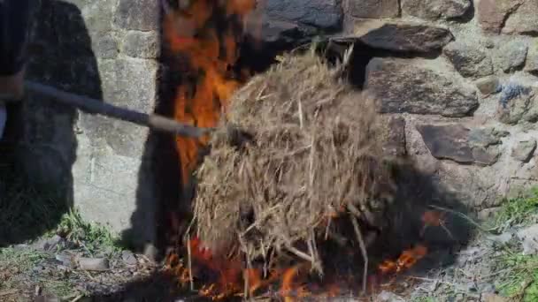 Garfo Sobre Agulhas Pinheiro Para Fazer Fogo Forno Pedra Para — Vídeo de Stock