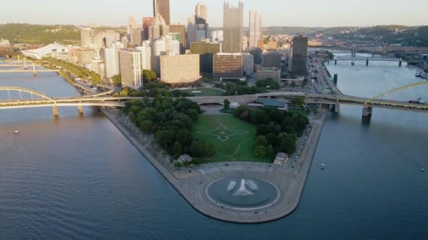 Vista Aérea Fuente Del Parque Estatal Point Horizonte Pittsburgh Iluminado — Vídeo de stock