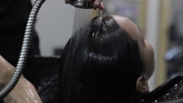 Salão Beleza Cabeleireiro Pentear Cabelo Molhado Cliente Com Massagem — Vídeo de Stock