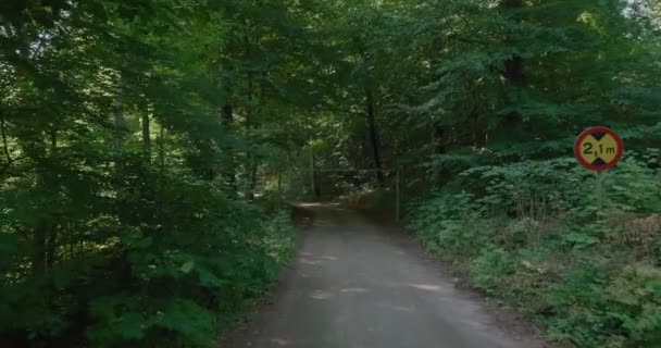 Estrada Pedra Floresta Gyllebo Com Sinal Rua Limite Altura Sul — Vídeo de Stock