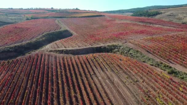 スペインのラ リオハのワイン農場で異なる作物や地域でワイン生産のためのブドウ畑を持つブドウ畑 — ストック動画