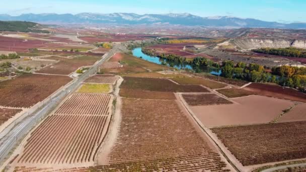 Vigneto Con Viti Produzione Vino Rioja Spagna Tra Ferrovia Fiume — Video Stock