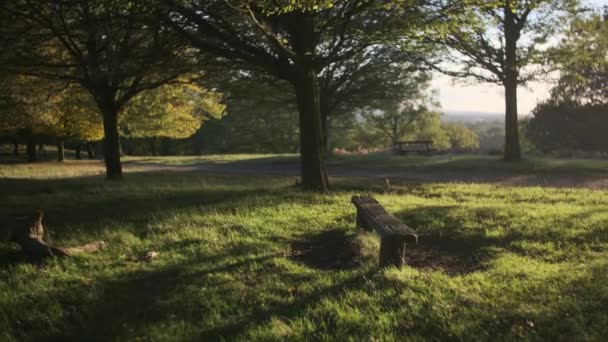 Cinematografische Cirkelopname Van Een Lege Parkbank Bij Zonsondergang — Stockvideo