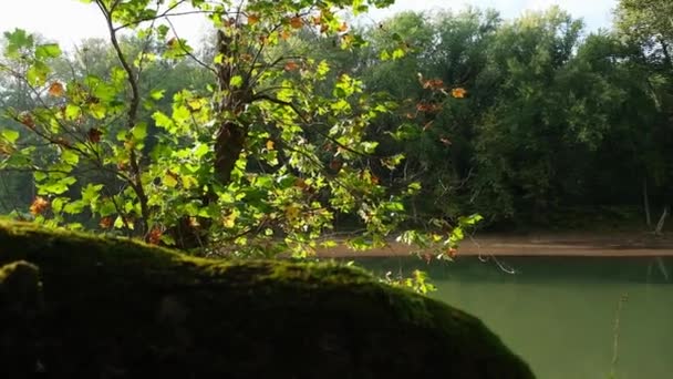 Foto Panoramica Uomo Che Cammina Sentiero Vicino Fiume Maremeck Nel — Video Stock