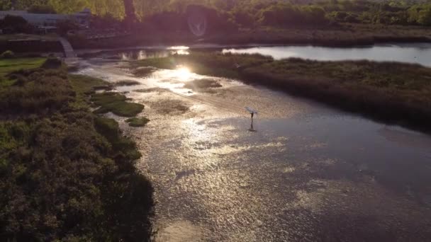 Cinematische Drone Shot Van Surfer Man Nemen Surfplank Hoofd Het — Stockvideo