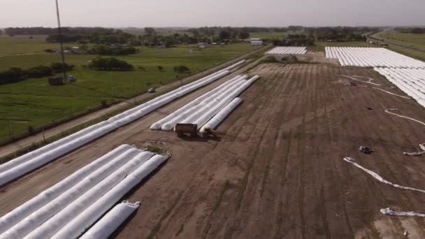 ブエノスアイレスの田舎の農場で白いサイロ袋から収穫を取るトラクターの空中ドローンビュー — ストック動画