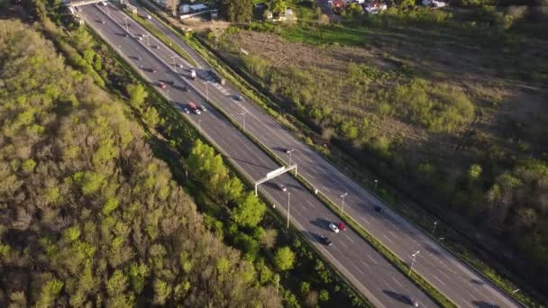 Piękny Widok Aeriel Ruchliwej Autostrady Pilar Zachodzie Słońca Otoczony Pluszową — Wideo stockowe