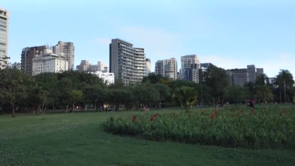 ブラジルのサンパウロに位置する近代的な建物に囲まれた都市公園 パーク ポヴォ都市生活 — ストック動画
