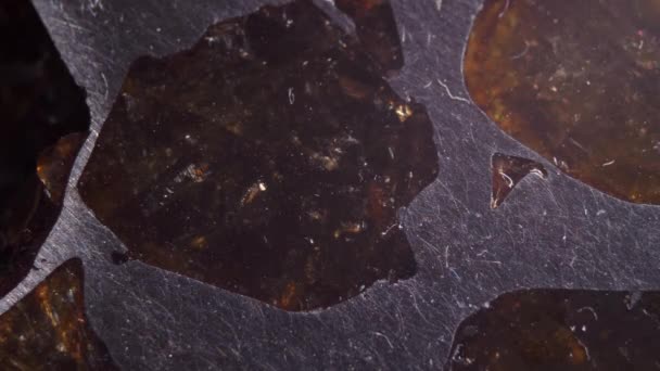 Macro Close Esquel Pallasite Pedra Com Cristais Olivine Dentro Metal — Vídeo de Stock