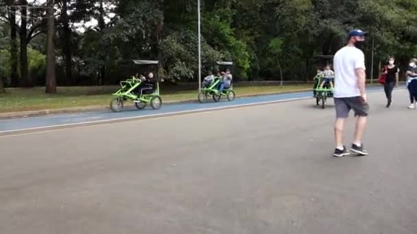Pov Ciclismo Carril Bici Parque Ibirapuera Ciudad Sao Paulo Ocio — Vídeo de stock