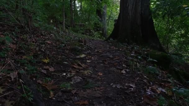 Zdjęcie Mężczyzny Idącego Szlakiem Nad Rzeką Maremeck Missouri — Wideo stockowe