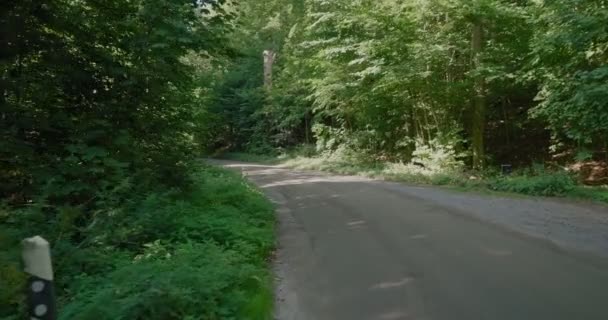 Pequena Estrada Seixos Green Forest Gyllebo Sul Suécia Sterlen Wide — Vídeo de Stock