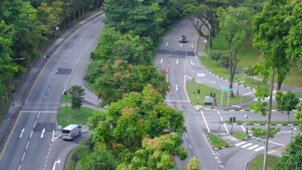 Reggeli Forgalom Anderson Road Gyönyörű Zöld Trópusi Erdő — Stock videók