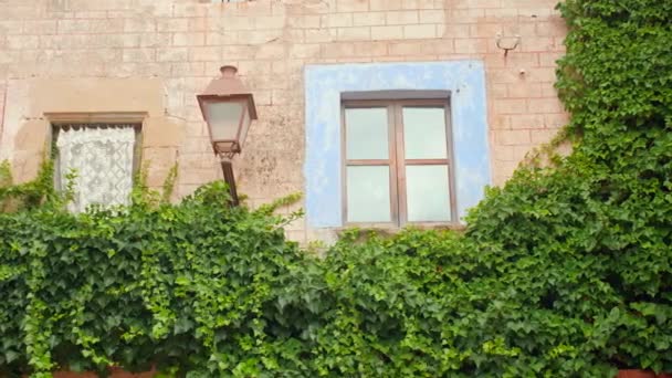 Ortaçağ Köyünde Lambayla Duvarda Süzülen Yemyeşil Bitkiler Geniş Açı — Stok video
