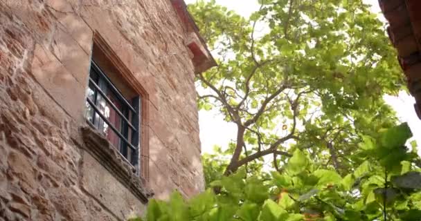 Fenster Und Steinfassade Eines Alten Hauses Mit Baum Einem Windigen — Stockvideo