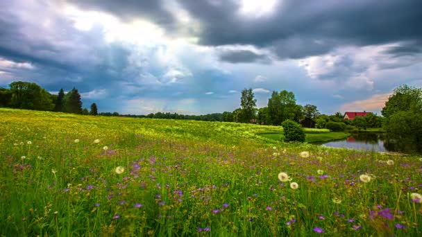 Time Lapse Shot Dramatic Sky Flying Clouds Scenic Flowerbed River — Stock Video