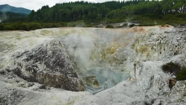 大范围的小型地热水池沸腾 蒸汽上升至天空 新西兰威澳 — 图库视频影像