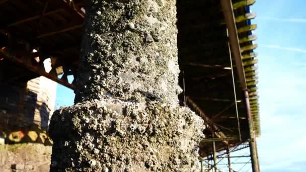 Unter Verwitterten Abgewetzten Llandudno Pier Wahrzeichen Stützpfeiler Bei Ebbe Nahaufnahme — Stockvideo