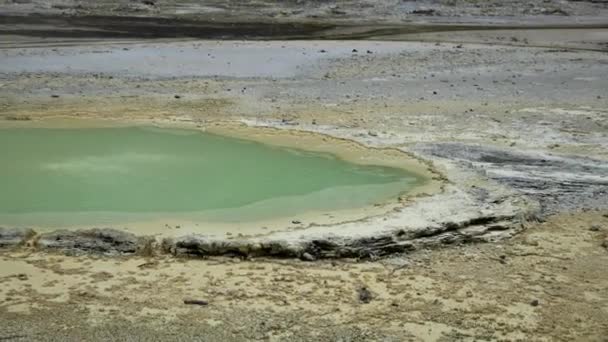 新西兰Waiotapu地热仙境绿水池与火山景观的泛照 — 图库视频影像