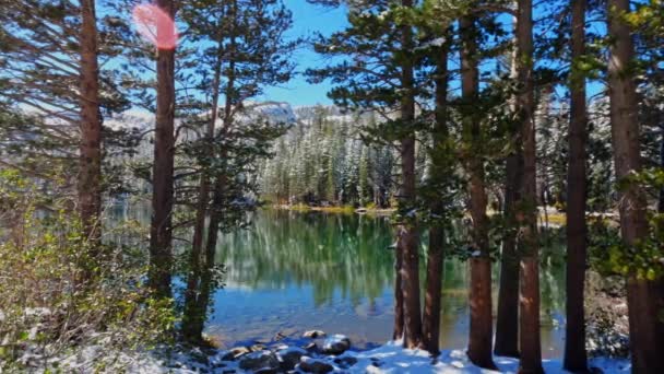 Snöiga Träd Spegling Från Ytan Soliga Sjön Mamie Mammoth Kalifornien — Stockvideo