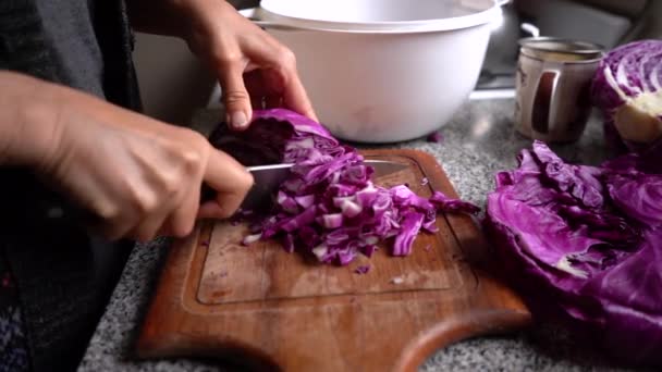 Chou Violet Frais Haché Ralenti Gros Plan Vue Latérale — Video