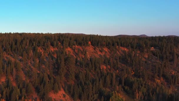 Verbazingwekkende Drone Vlucht Onthullen Immense Naaldbomen Huisjes Utah Buitenwijken Herfstlandschap — Stockvideo