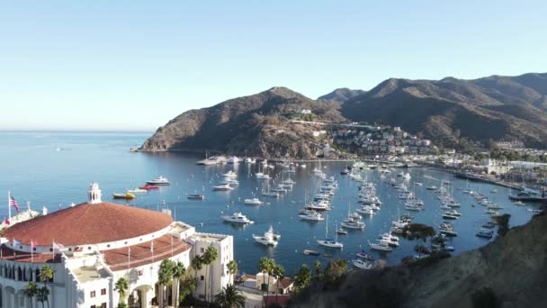 Drohnenschuss Hafen Von Catalina Mit Booten — Stockvideo