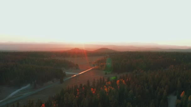 Arancio Sole Bagliori Riflettendo Sulle Cime Degli Alberi Nei Boschi — Video Stock