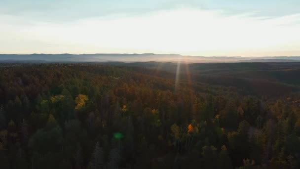 Panoramaantenn Avlägsen Skog Över Röd Sandstensklippa Dal Utah Usa Vid — Stockvideo