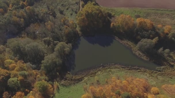 Water Pond Colored Trees Sunny Autumn Day Inglês Tiro Aéreo — Vídeo de Stock