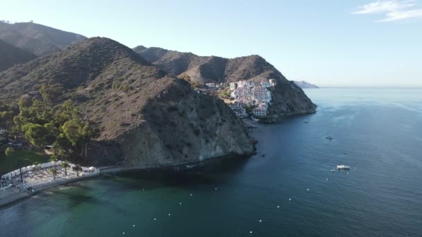 Strzał Drona Catalina Island Oceand Hills — Wideo stockowe