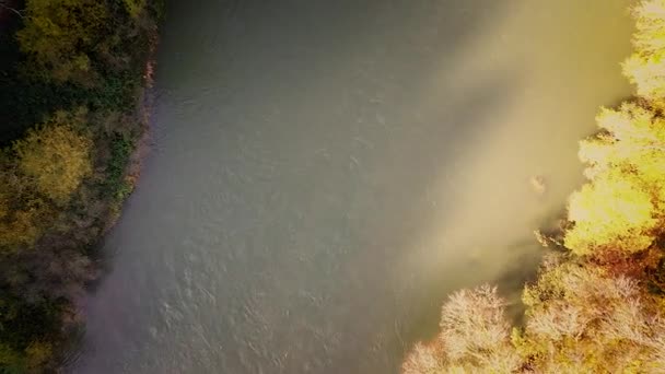 Top Aerial River Stream Colorful Autumn Trees River Bank Fly — Stock Video