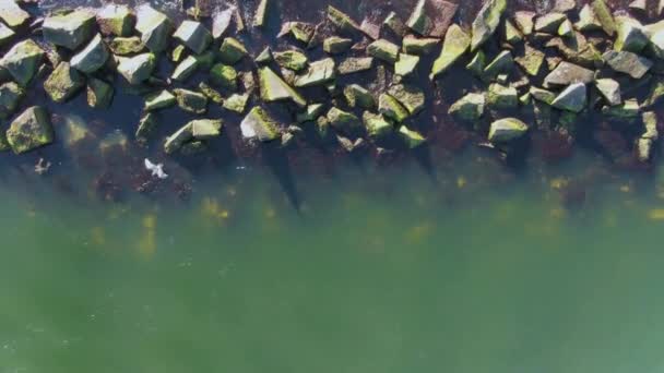 Flygfoto Över Den Steniga Stranden Och Motorbåt Som Seglar Havet — Stockvideo