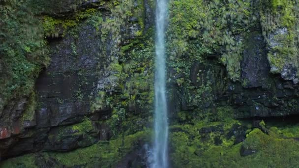 Amidagataki Spada Gifu Japonia Aerial Shot — Wideo stockowe