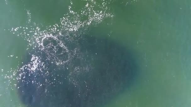 Αεροφωτογραφία Της Επιφάνειας Της Θάλασσας Και Ορατά Κοπάδια Ψαριών Κρυμμένα — Αρχείο Βίντεο