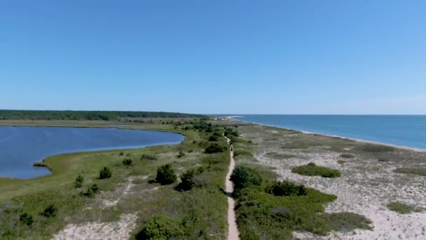 Vue Aérienne Des Terres Aquatiques Océan Sentier Pédestre Dans Réserve — Video