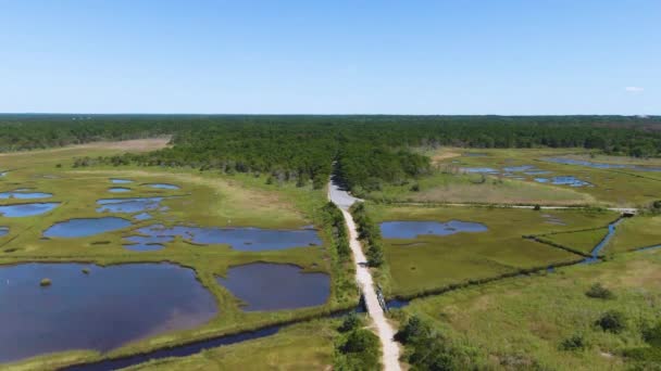 Вид Повітря Ландшафт Національного Парку Дослідницький Заповідник Заболочені Території Ліс — стокове відео