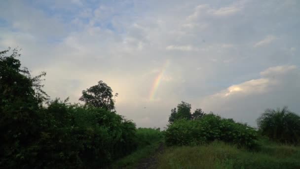 天空中明亮的彩虹笼罩着一片绿油油的森林 — 图库视频影像