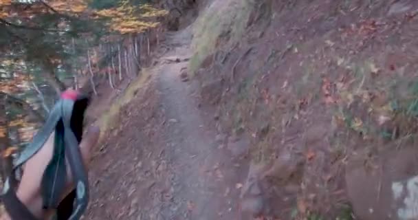 Pov Wędrowiec Kijami Trekkingowymi Idący Pod Górę Szlakiem Ciemnych Lasach — Wideo stockowe