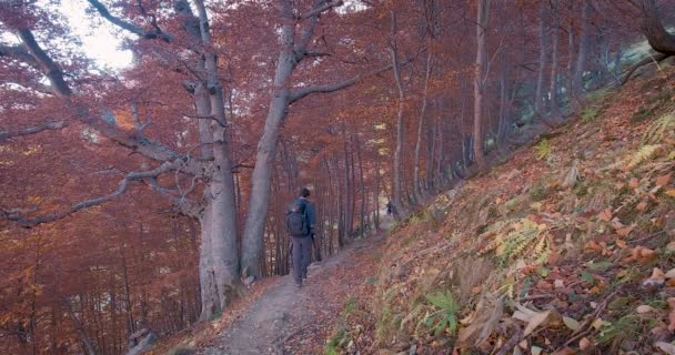 Επιστροφή Άποψη Του Πεζοπόρος Άνθρωπος Πεζοπορία Σακίδιο Πόδια Στο Μονοπάτι — Αρχείο Βίντεο