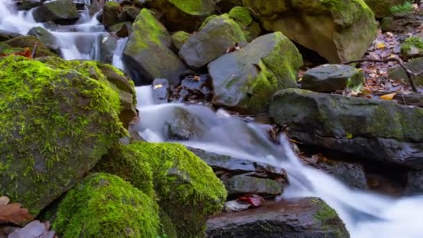 美しい秋の自然の中で滝 時間経過の4K Bロール スライダーに緑の苔の時間の経過を渡す白い水 — ストック動画