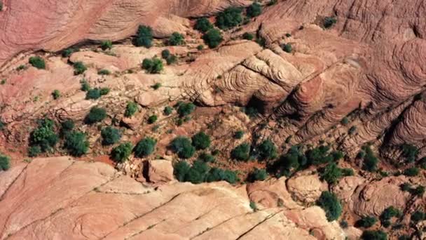 南ユタ州のスノーキャニオン州立公園の砂漠に緑の葉を持つ信じられないほどの赤い肥えた砂丘の豪華な空中ドローントップバードの目の景色 — ストック動画