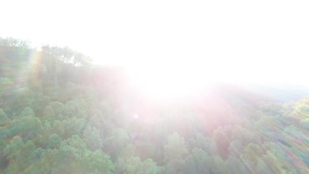 Jasně Podsvícený Západ Slunce Bujně Zelenými Lesy Smoky Mountains Tennessee — Stock video