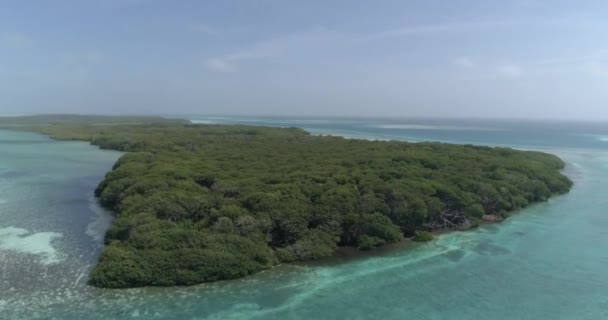 Pan Höger Flygfoto Över Blå Kanal Lake Mitten Mangrove Forest — Stockvideo