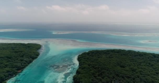 Luftaufnahme Des Mangrovenwaldes Und Des Blauen Wasserkanals Schwenkrecht — Stockvideo