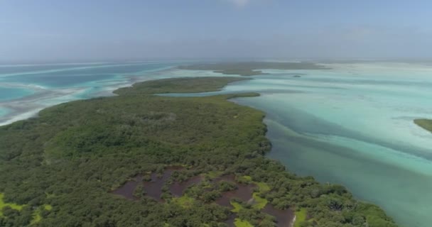 Pan Links Luchtfoto Van Mangrove Forest Midden Blue Lagoon Lake — Stockvideo