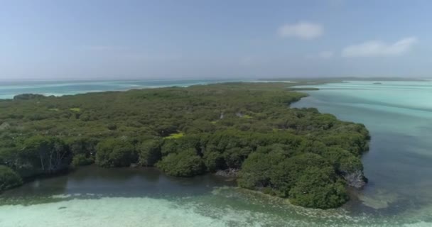 Drone View Létající Pan Vpravo Blue Lagoon Lake Middle Mangrove — Stock video