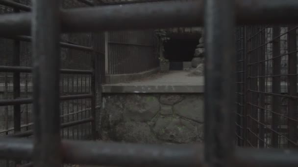 Clip Panorámica Cinematográfica Desde Exterior Una Jaula Del Zoológico Con — Vídeos de Stock