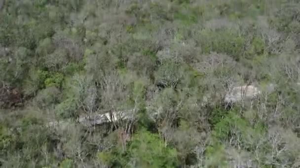 Pirámide Kukulkan Complejo Arqueológico Maya Chichén Itzá Yucatán México Inclinación — Vídeo de stock